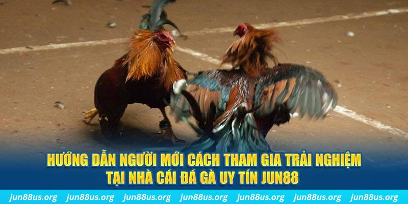 f8 bet loi game dot kich ket noi may chu that bai