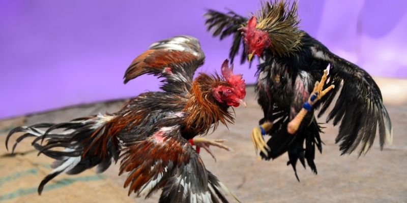 f8 bet KM Game Bài 3d