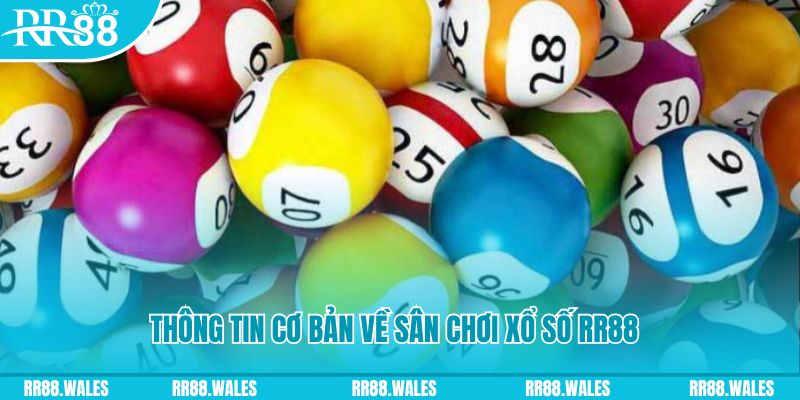 f8 bet đá gà hôm nay