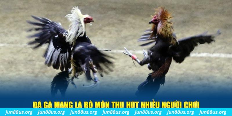 tại sao tải game bài sunwin không được