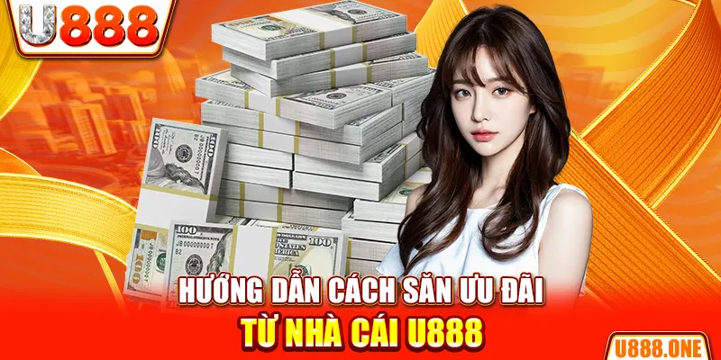 f8 bet hòn gà chọi