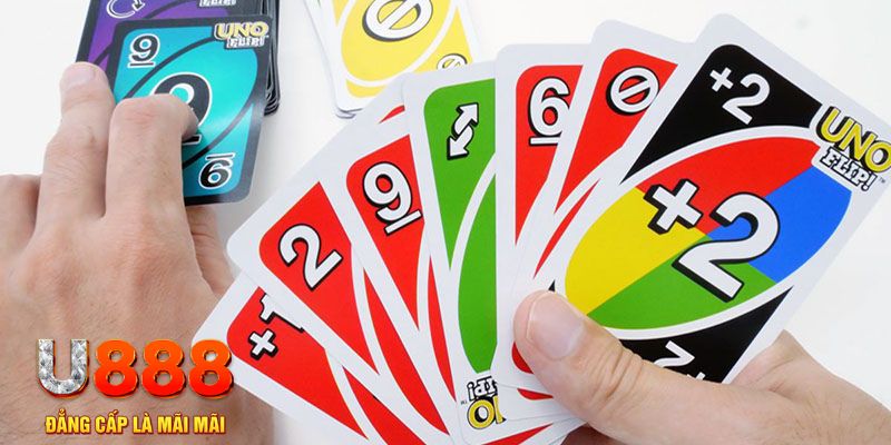 f8 bet gà chọi cu cần