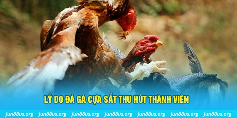 f8 bet chiếm slot là gì