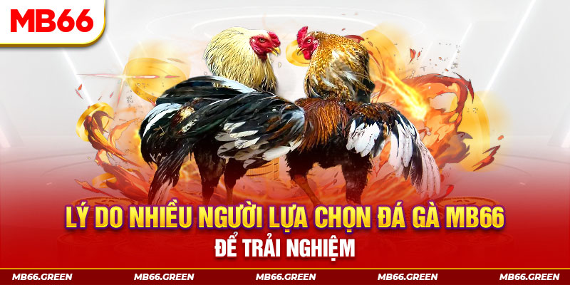 f8 bet KA Điện Tử