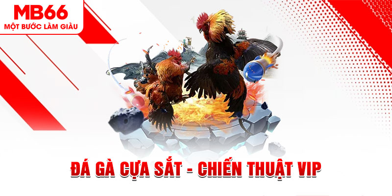 f8 bet xổ số trực tiếp hôm nay