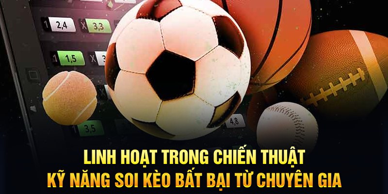f8 bet xổ số quảng trị