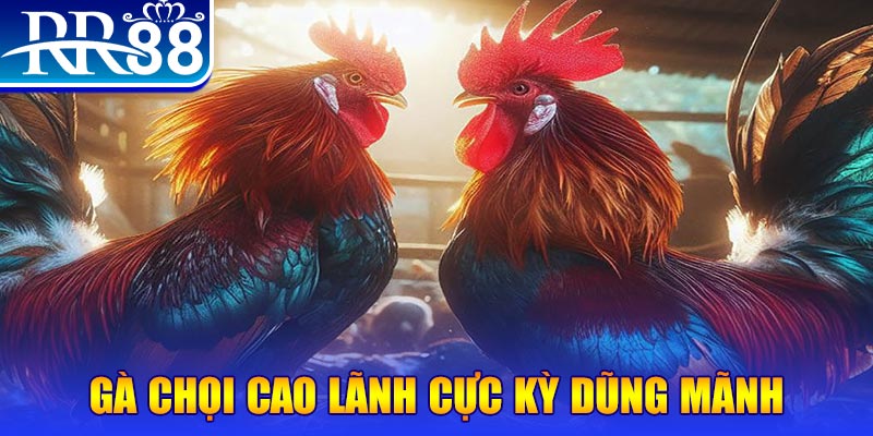 f8 bet ILOVEU Bắn cá